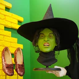 iconische-hoed-van-heks-uit-wizard-of-oz-gaat-onder-de-hamer