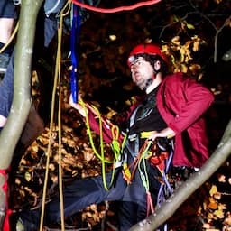 video-|-actievoerders-klimmen-in-bomen-langs-a2-bij-werkzaamheden