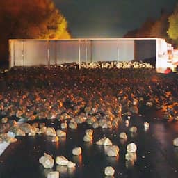 a28-bij-drents-ubbena-dicht-na-kantelen-vrachtwagen-met-suikerbieten